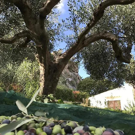 Alba 4* San Vito Lo Capo