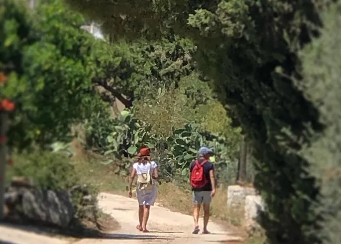 Alba 圣维托罗卡波