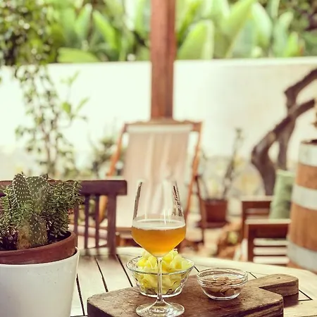 Alba Bed & Breakfast