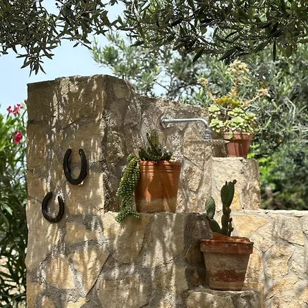 Bed & Breakfast Alba